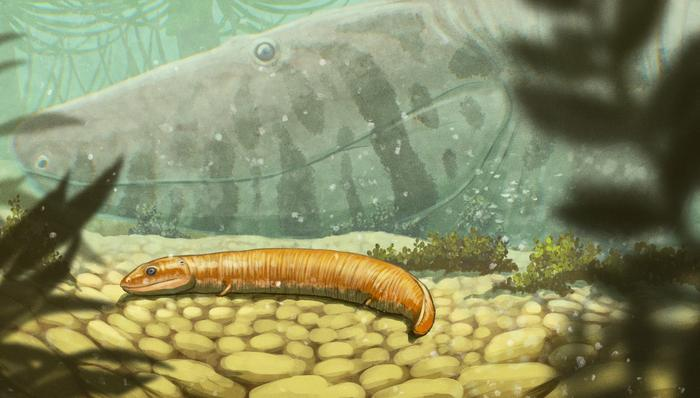 Legs Evolved Before Amphibian Metamorphosis