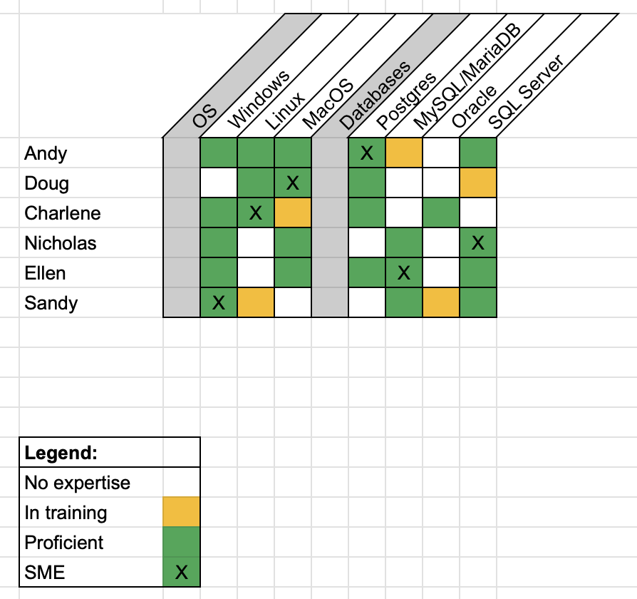 skills matrix screenshot