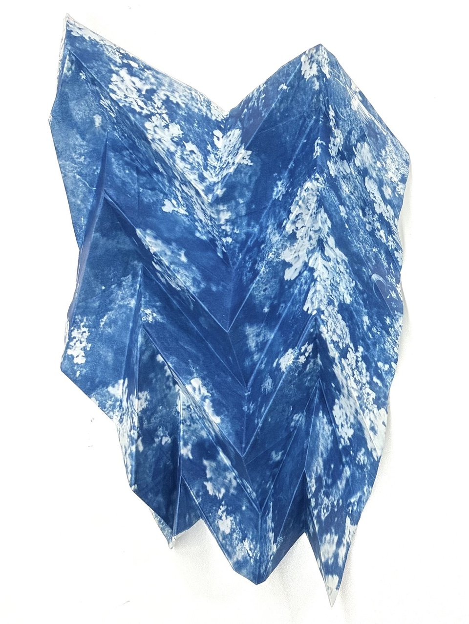 Pleated cyanotype on vellum of lichen