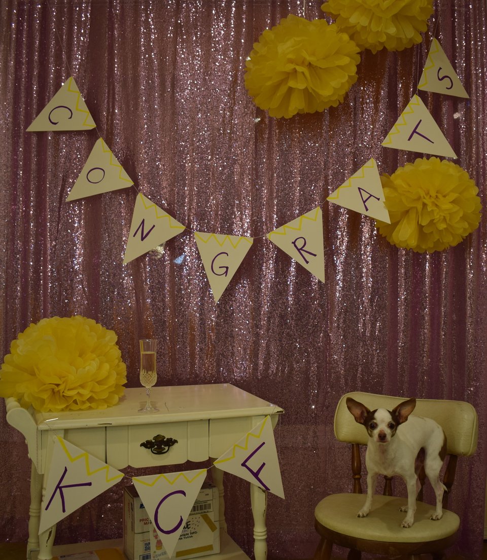 a sequin pink backdrop with banners that read CONGRATS KCF a glass and champagne and a small white and brown chihuahua are in the picture