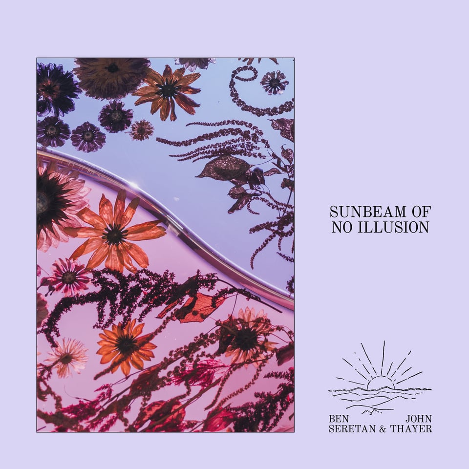 album art for Sunbeam of No Illusion - a two-toned floral sculpture against a sky on a light purple background