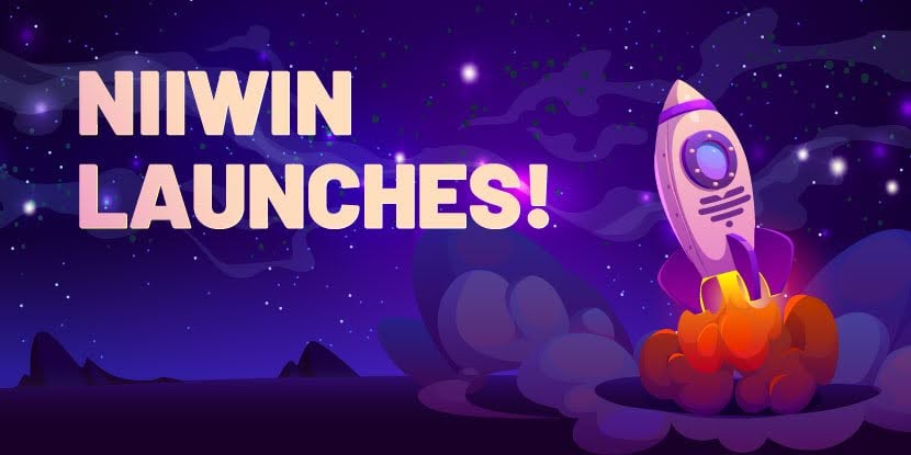 A graphic of a purple starry night that shows a rocket as it launches from the landscape with a puff of smoke and fire. Text in the top left says: Niiwin Launches!