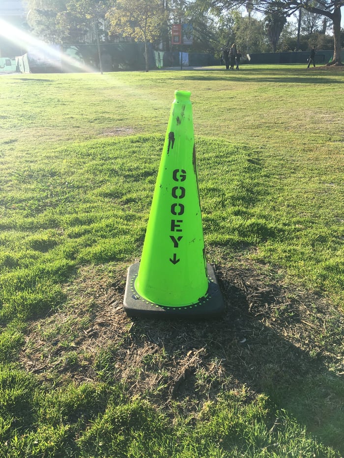 A neon yellow cone with the word "GOOEY" stencilled on it rests on a matted patch of grass in a park, a flared beam of sunshine lighting it up from a corner of the image.