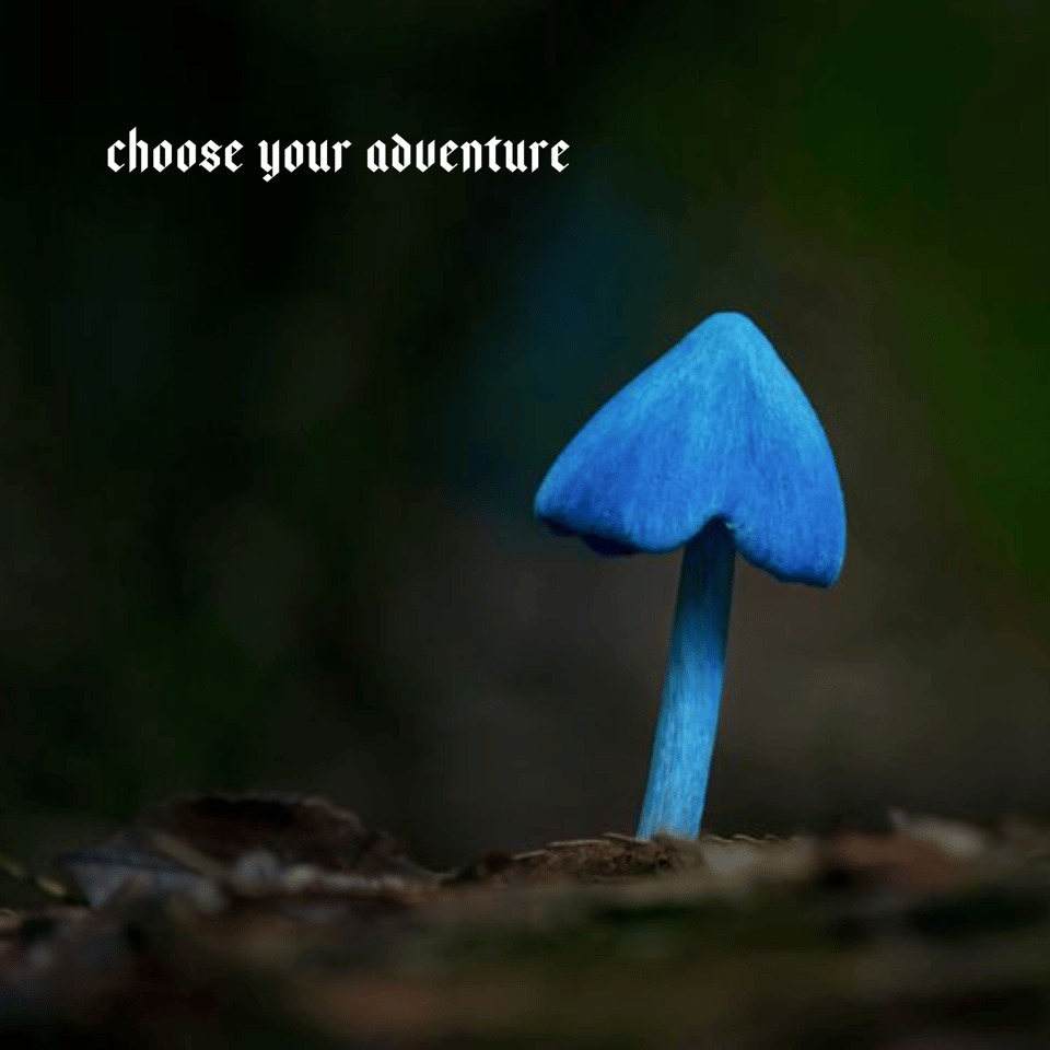 An image of a blue mushroom with the caption "choose your own adventure".