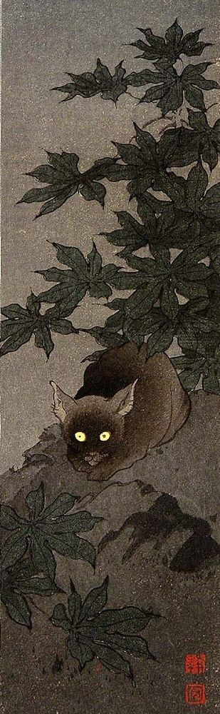 A black cat with yellow eyes sits under a bush with large leaves.