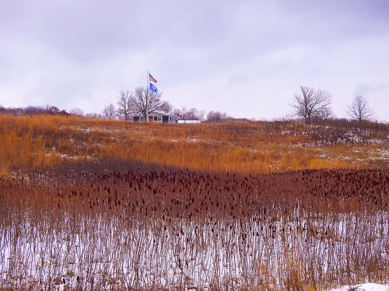 Sumac welcome visitors to Frontenac State Park in the winter. / Photo by Steve Dietz