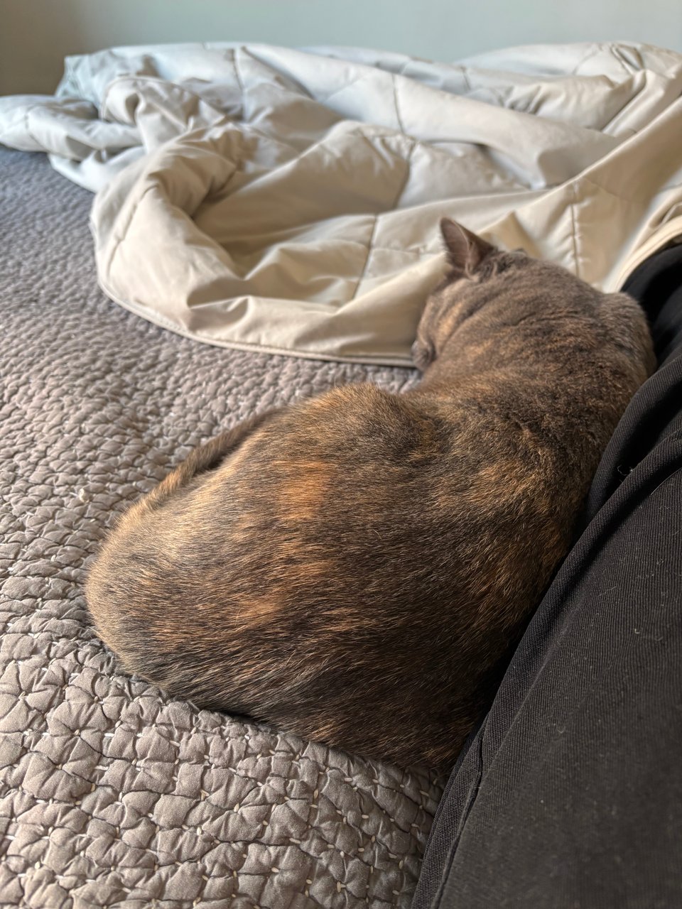 healing while a country bleeds