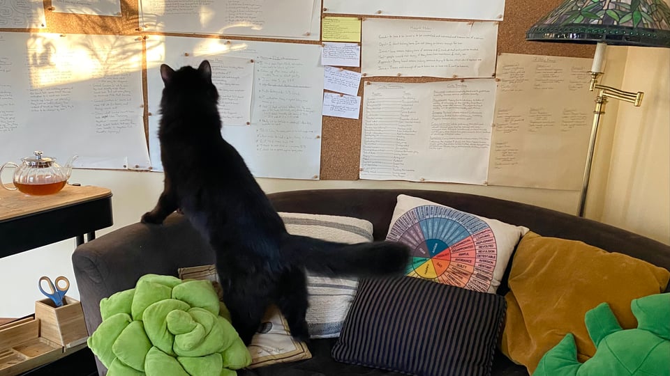 A black cat stretched out to inspect a wall sized cork board covered in bits of paper with unintelligable writing on them. The cat is on a brown couch covered in bright throw pillows.