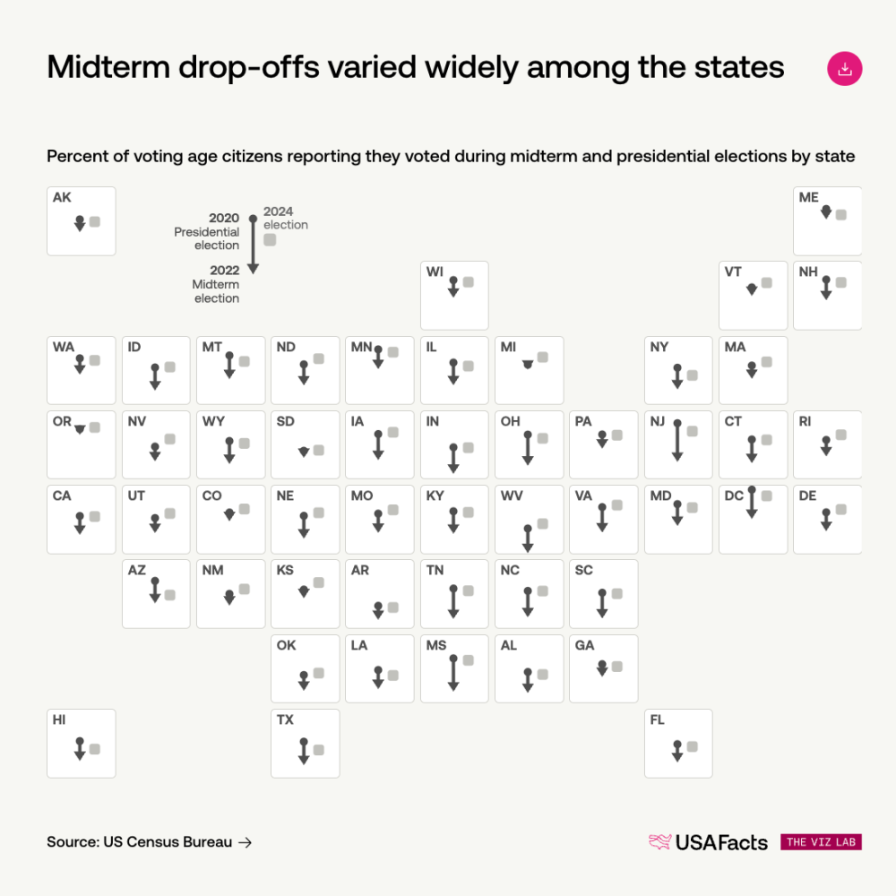 Who votes in midterm elections?