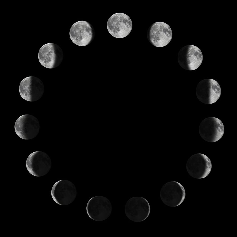 A black and white photo colllage showing the moon in different phases arrayed in a ring with the full moon at the top and the almost-dark moons at the bottom. Possibly the least interesting image I've ever included in the newsletter but I really got stuck on how to represent the idea of "monthly," especially once the idea of a menstrual cycle got lodged in my head and wouldn't make room for anything else. So, y'know: the moon.