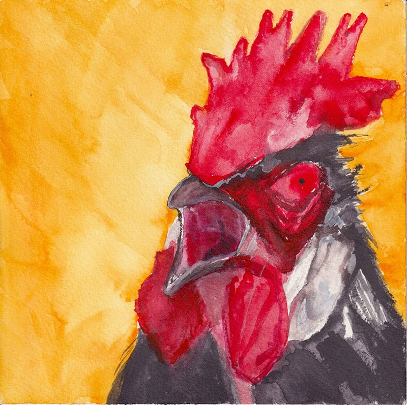 An angry chicken on an orange background. Painted by Erika.