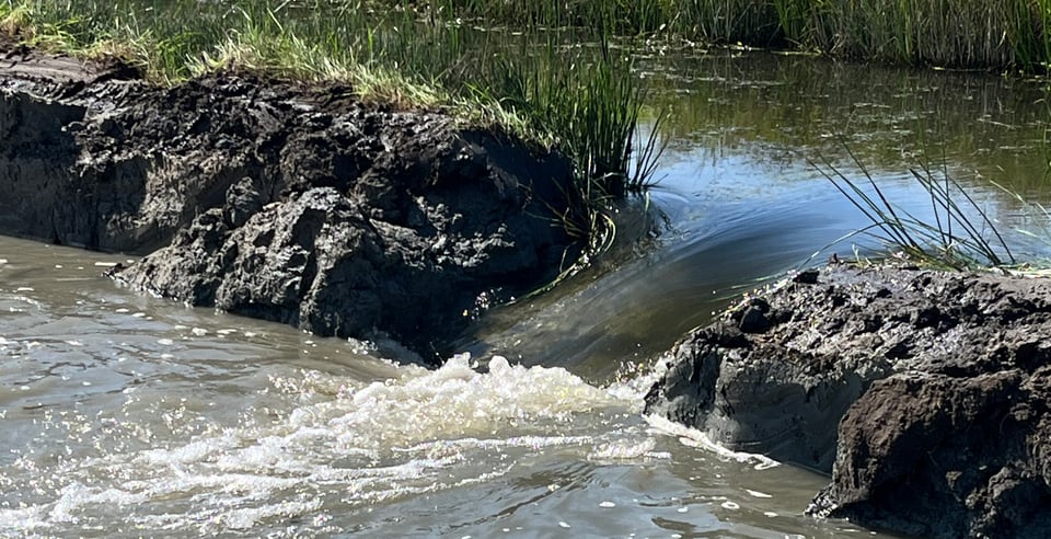 Water in de nieuwe sloten