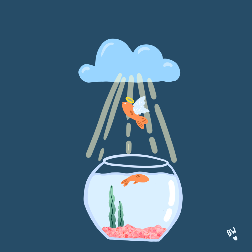 A goldfish floats dead at the top of a fish bowl. Above the bowl, the fish (now with angel wings and a halo) is floating up to a cloud in golden rays of light.