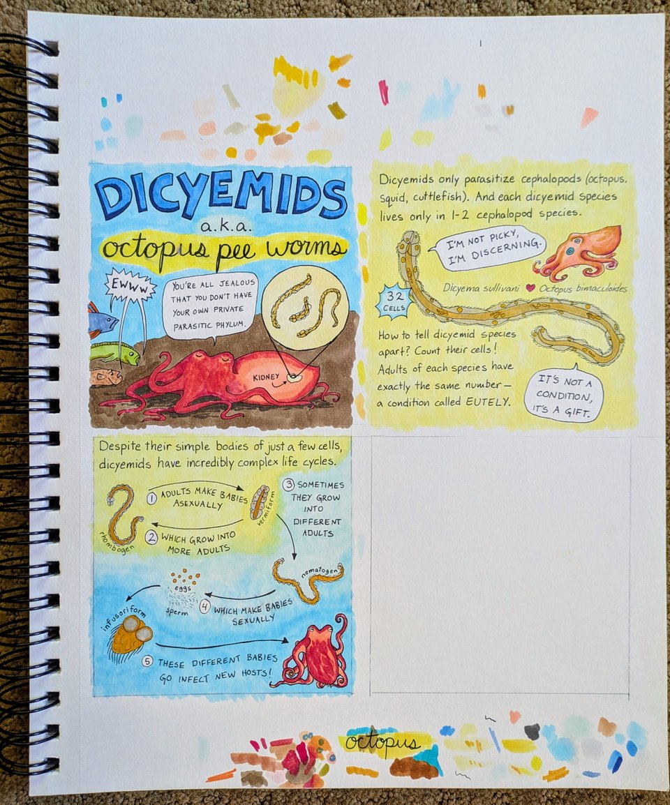 The OctoPost: Parasites and Pianos