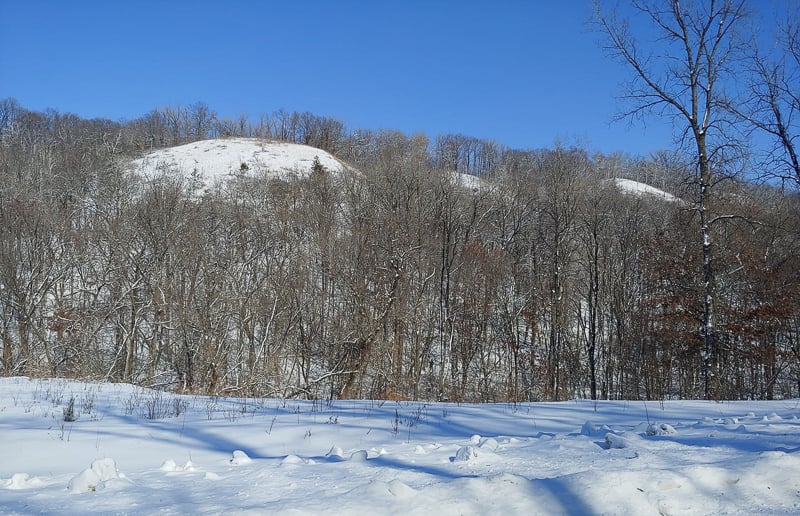 Winter in our park. / Photo by Steve Dietz