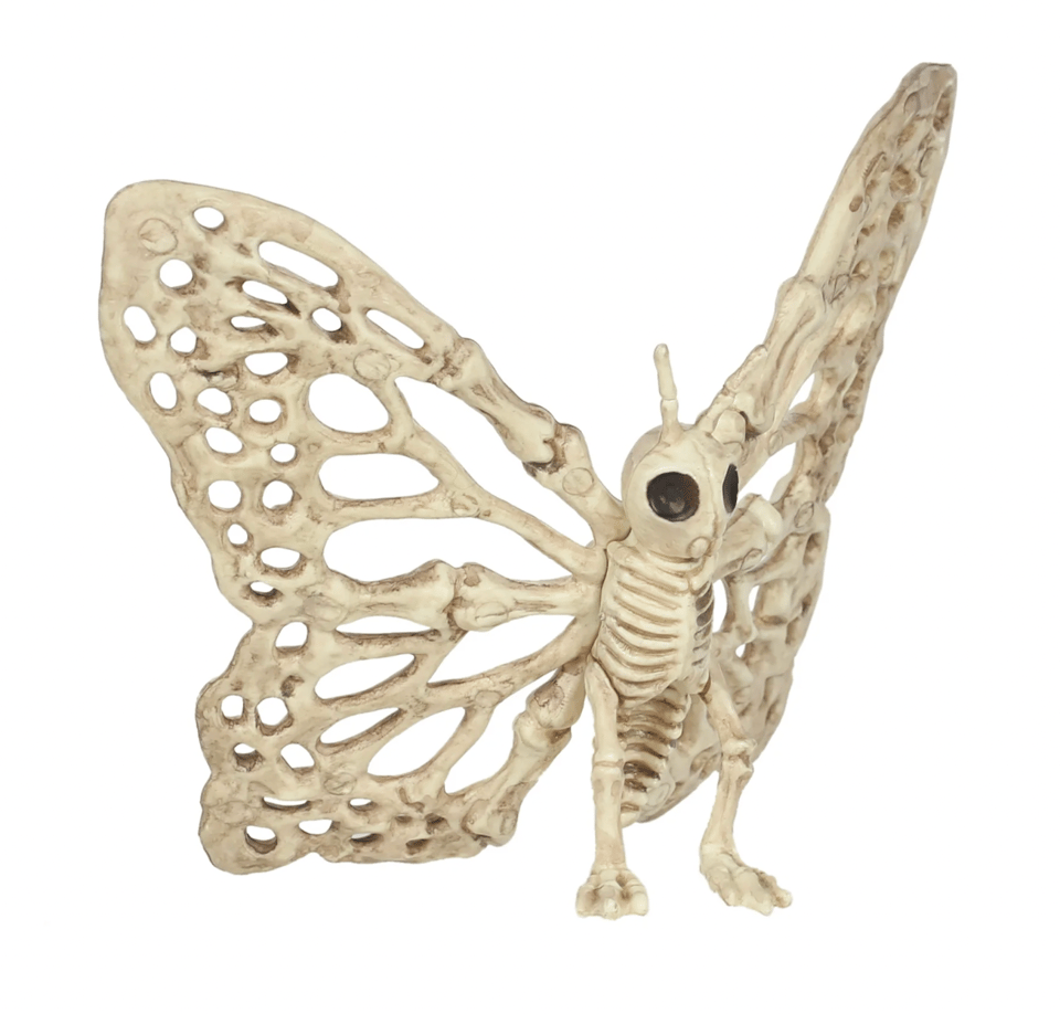 A butterfly skeleton, its wings are all made of bones and it's pretty creepy