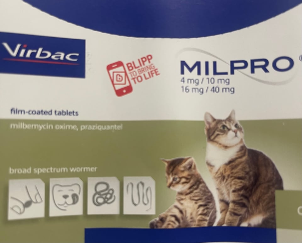 Packet of cat worming tablets with augmented reality call to action