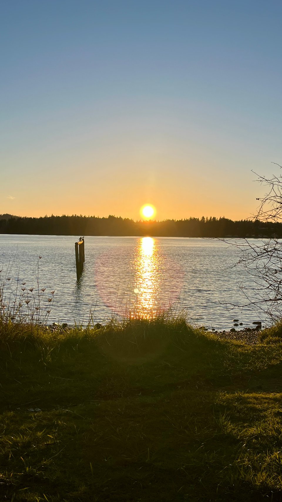 A grassy waterfront embankment that looks upon a sunset over a body of calm water.
