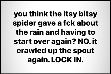 Black text on white background that reads: “you think the itsy bitsy spider gave a fck about the rain and having to start over again? NO. It crawled up the spout again. LOCK IN.”