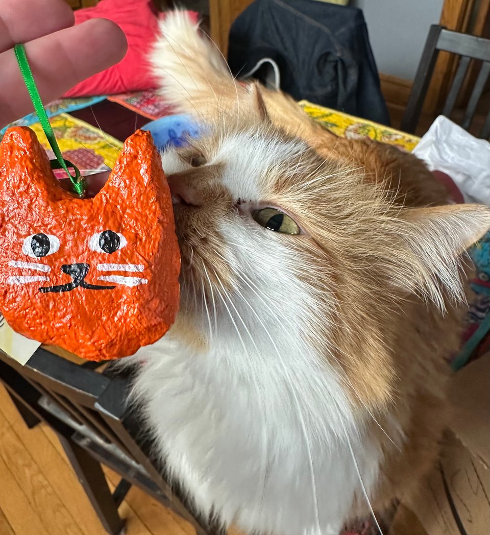 a fluffy orange and white cat sniffing a cute orange cat ornament