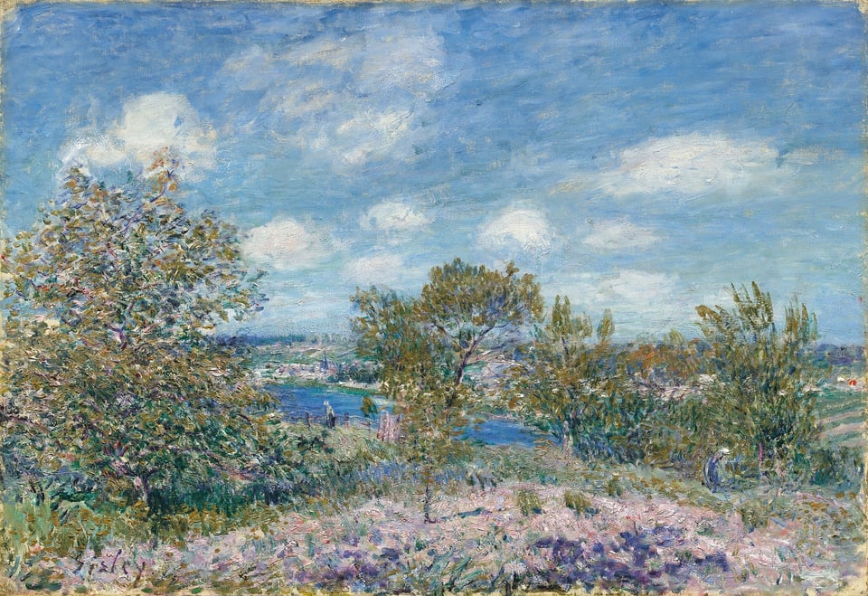 Trees with green leaves in a field and a blue sky with white clouds