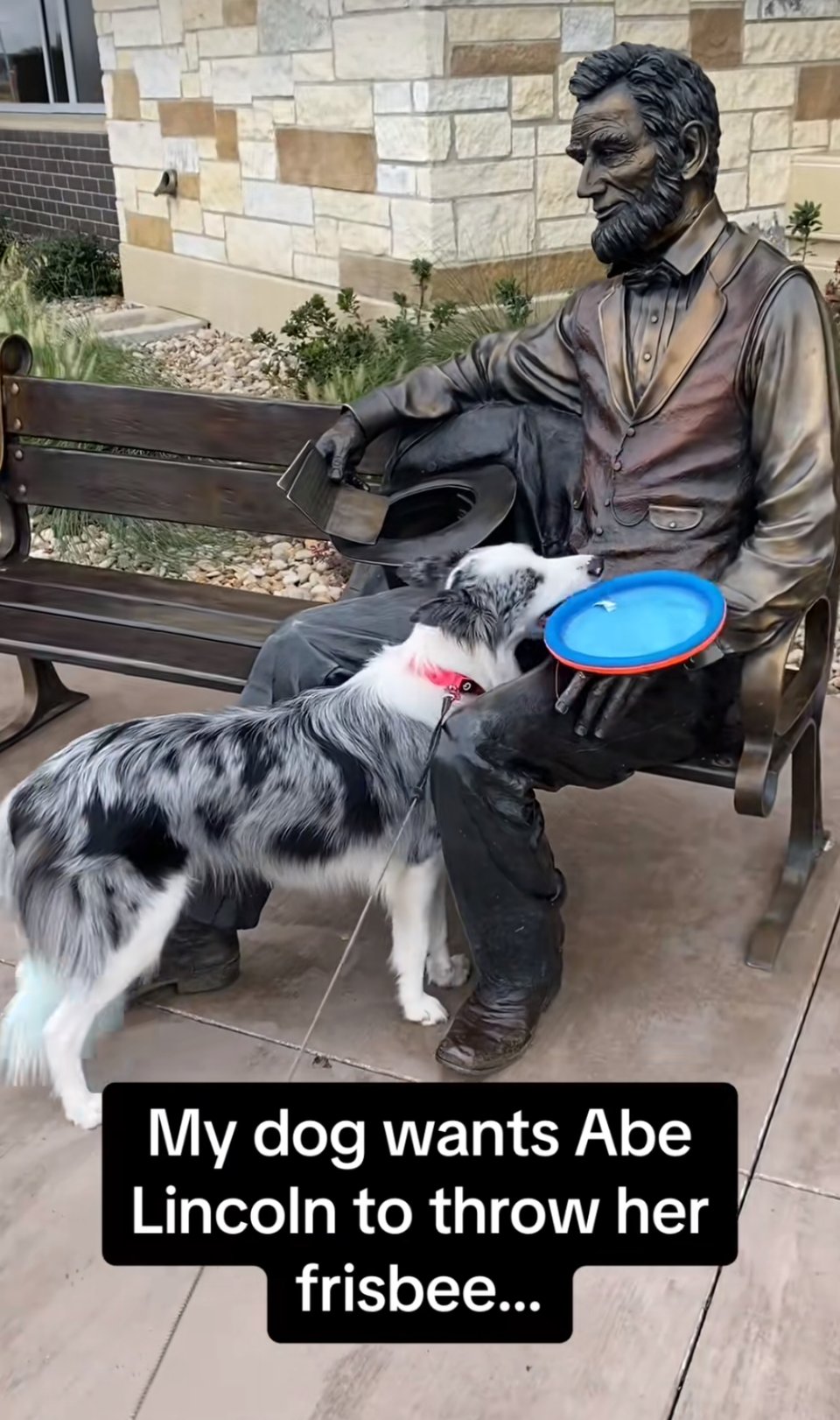 A dog that looks like an Aussie, maybe, is holding a frisbee up to the lap of a metal sculpture of Abe Lincoln. The caption reads "my dog wants Abe Lincoln to throw her frisbee..."