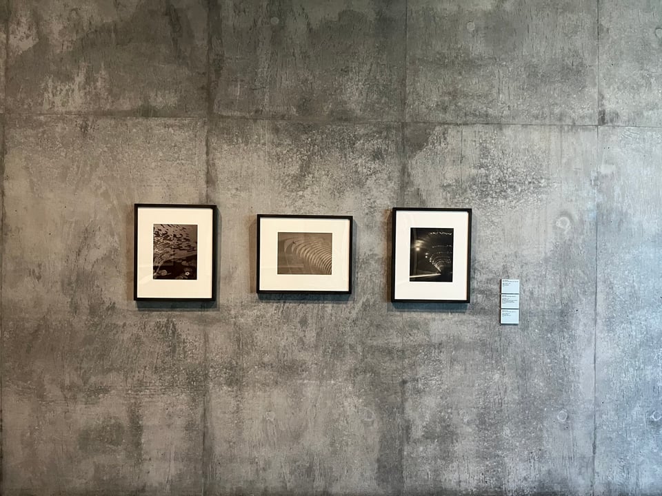 Three framed black and white photographs hanging in a row on a gray concrete wall.