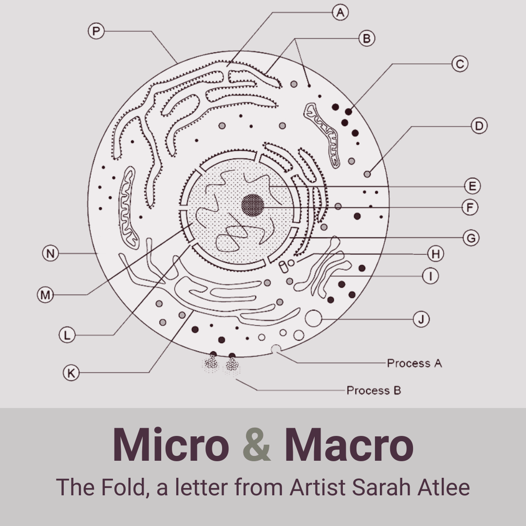 The Fold: Micro & Macro