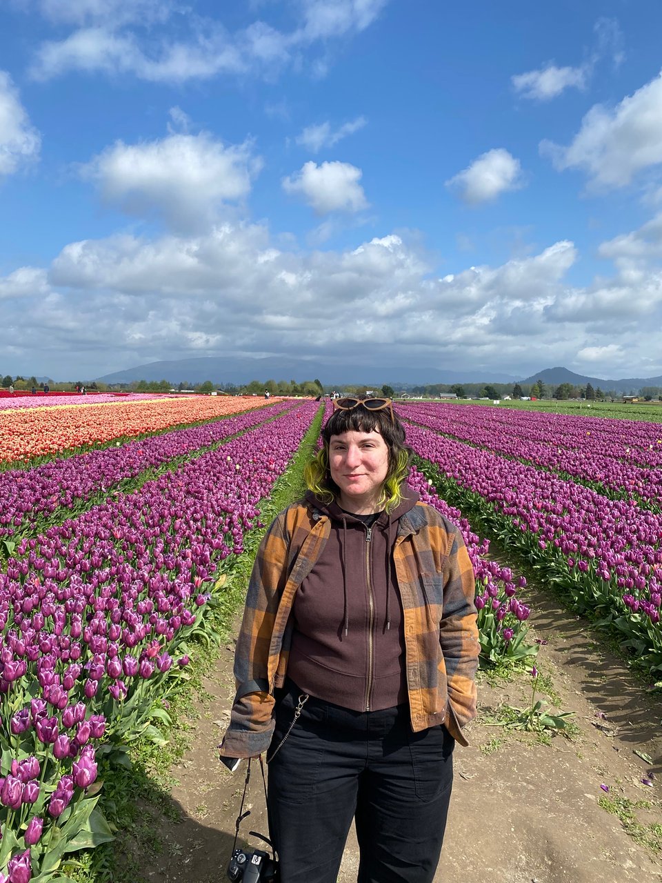 elliott standing in front of colorful tulip fields.