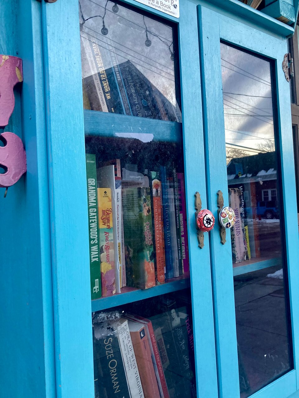 photo of a neighborhood bookshelf painted bright blue with colorful ceramic knobs and glass doors. a lot of different kinds of books are inside, including bodice rippers, Suze Orman, and Flora of West Virginia.