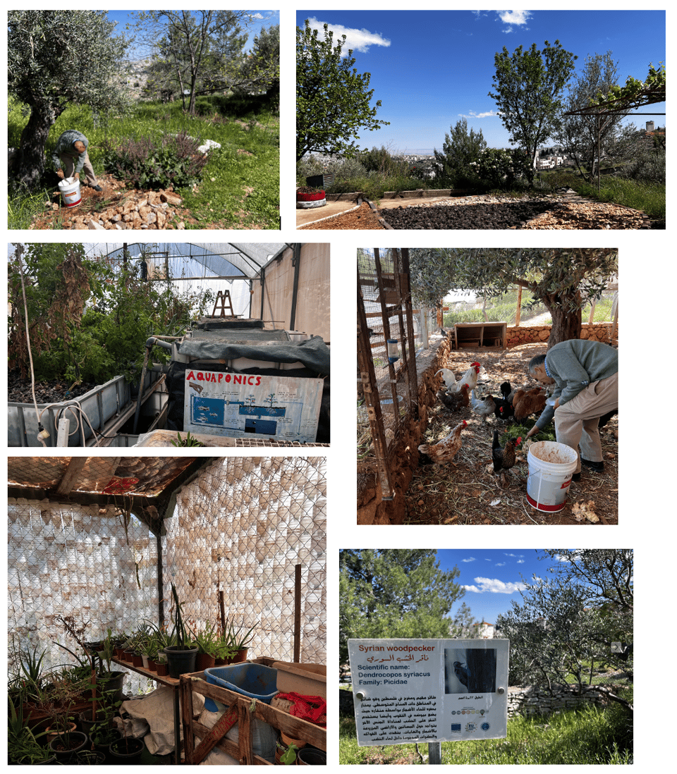 6 images of a nature area, with trees, sky, a sign for aquaponics, the inside of a greenhouse made with recycled plastic bottles
