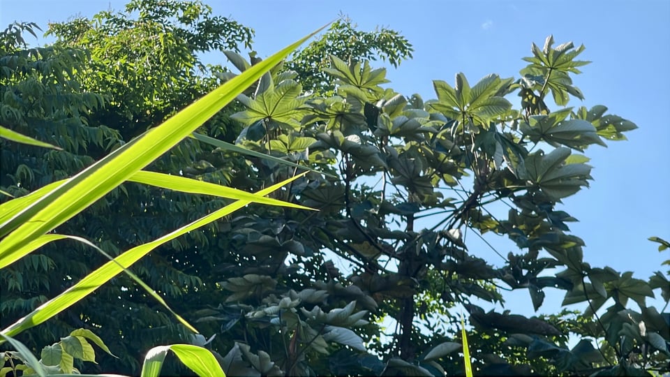 June Newsletter