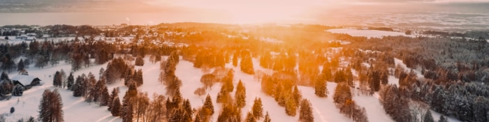 Aerial view of a snow-covered mountain with evergreen trees