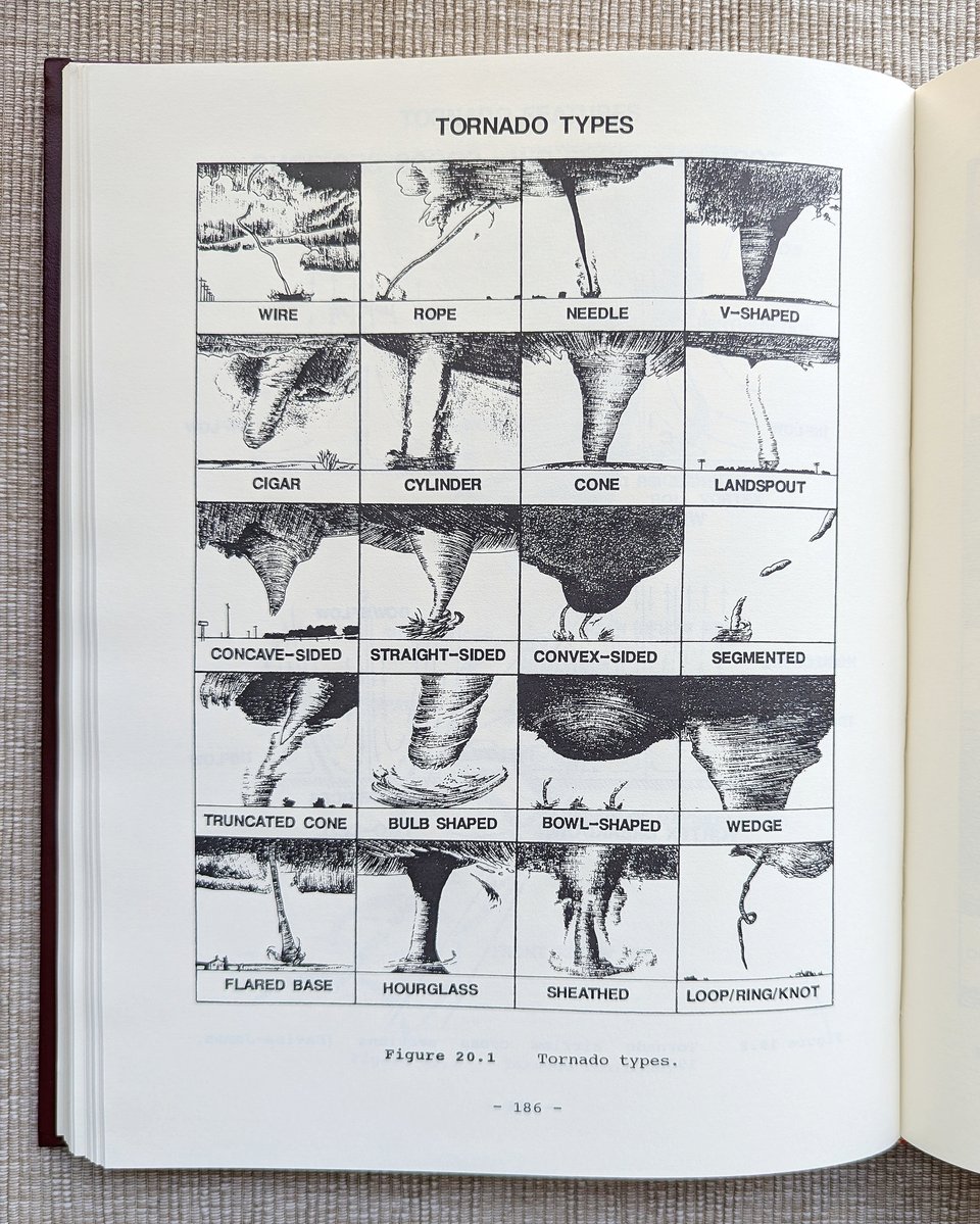 A page with a grid of illustrations titled "Tornado Types." Each rectangle of the grid has an illustration of a slightly different tornado, with labels ranging from "rope" to "wedge" underneath.