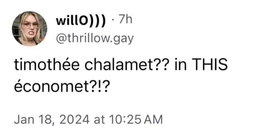 @thrillow.gay: timothée chalamet?? in THIS économet?!?