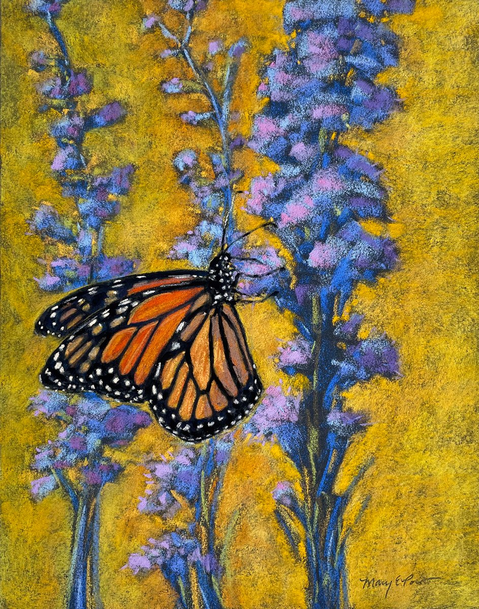 Pastel Painting of a monarch butterfly by Mary Pow