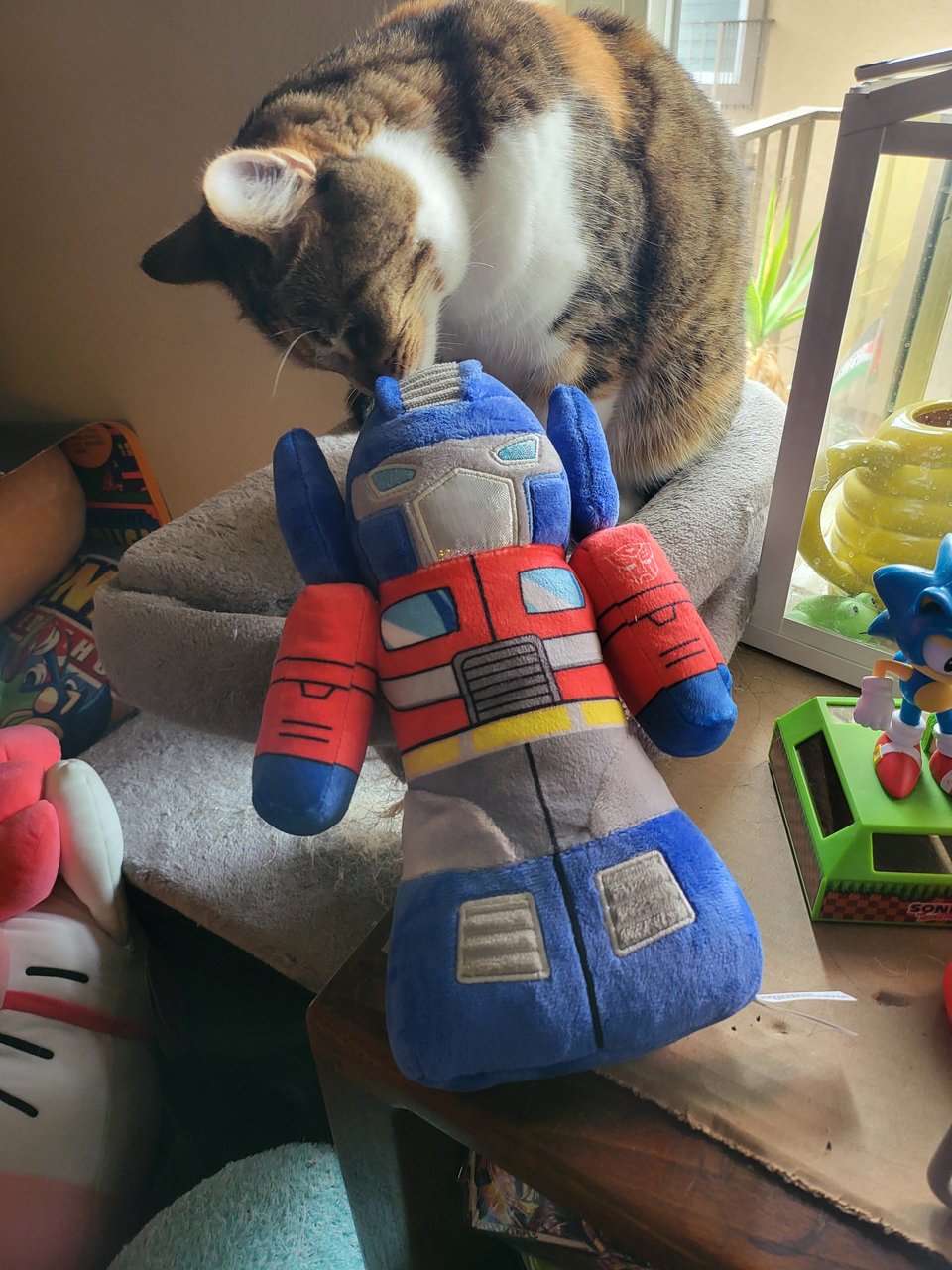 Nadja the cat is smelling an Optimus Prime squeaky toy for dogs. She seems... intrigued, I guess. There is a Sonic uh... sun mover thingy toy next to her and Nadja just doesn't like how it moves.