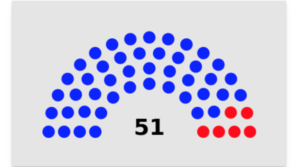 The makeup of the NYC city council.