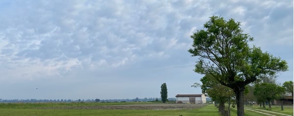 Wide view behind Agrilocanda val Campotto. A line of trees stretches towards and barn and the horizon, with massed blue-grey clouds in the sky.
