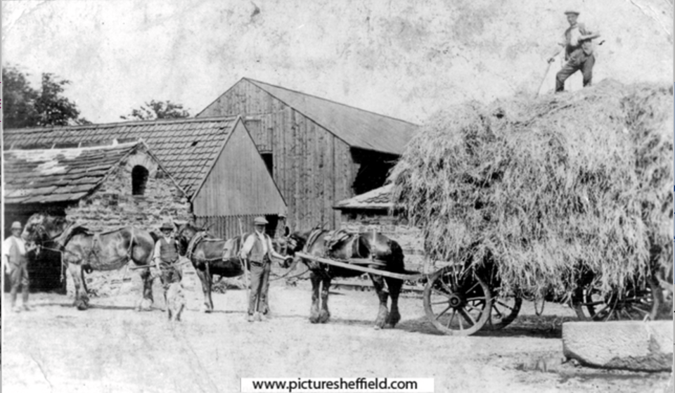 Haymaking at Myrtle Bank Farm, Handsworth