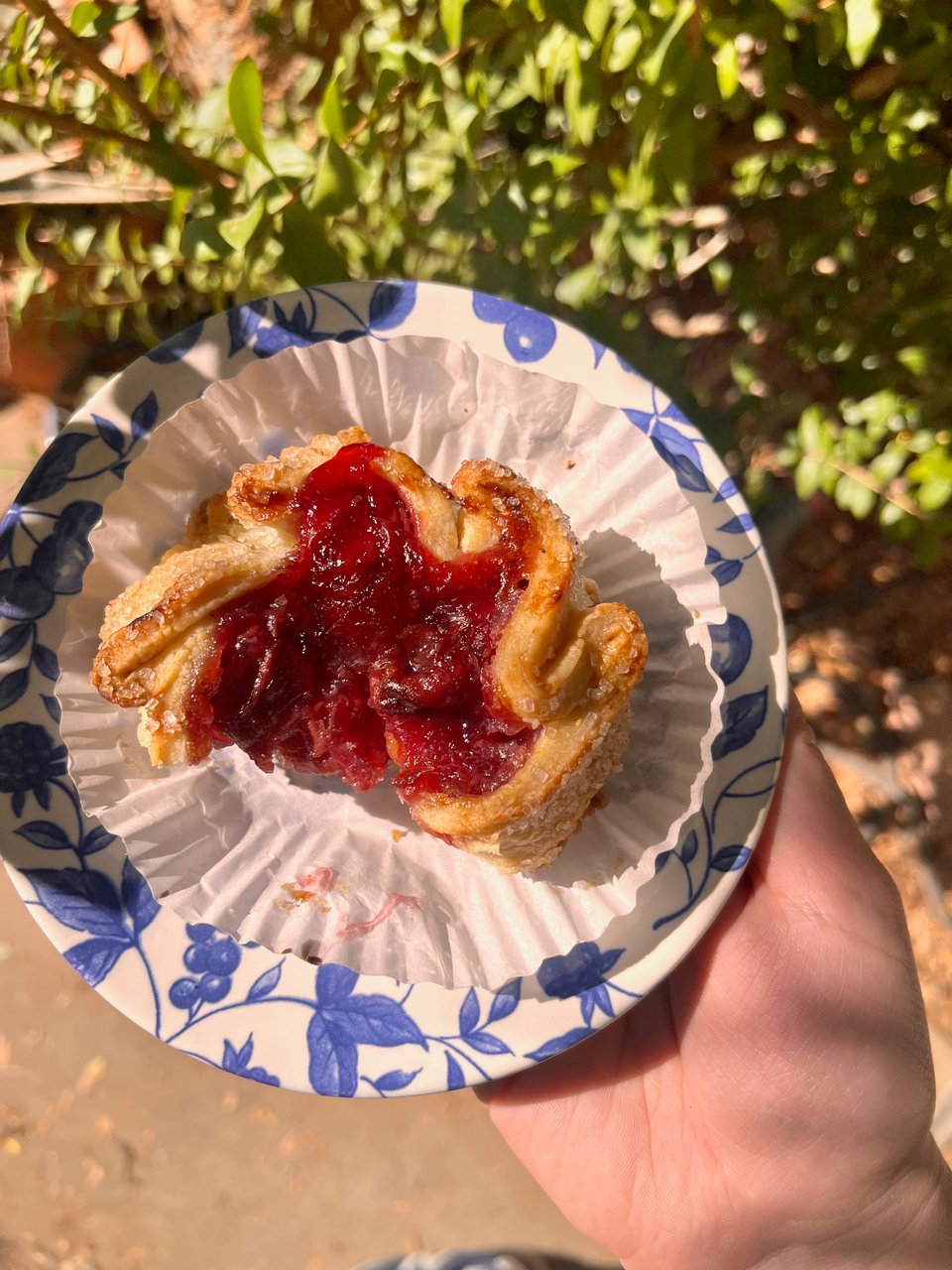 cherry almond tart on a blue and white plate