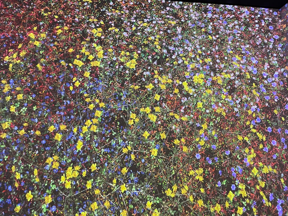 digital flowers