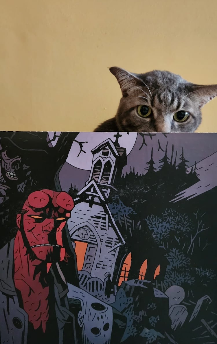 Luca in a comic box with Hellboy art