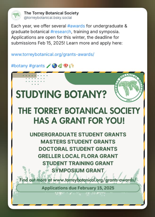 Tweet on Bluesky reads: Each year, we offer several #awards for undergraduate & graduate botanical #research , training and symposia. Applications are open for this winter, the deadline for submissions Feb 15, 2025! Learn more and apply here: www.torreybotanical.org/grants-awards/ with image saying Studying Botany? The Torrey Botanical Society has a grant for you! Undergrads, Masters and Doctoral Students, as well as Greller local flora grant, Student training grant and a symposium grant. Included as an image so you can click direct through to the grants page.