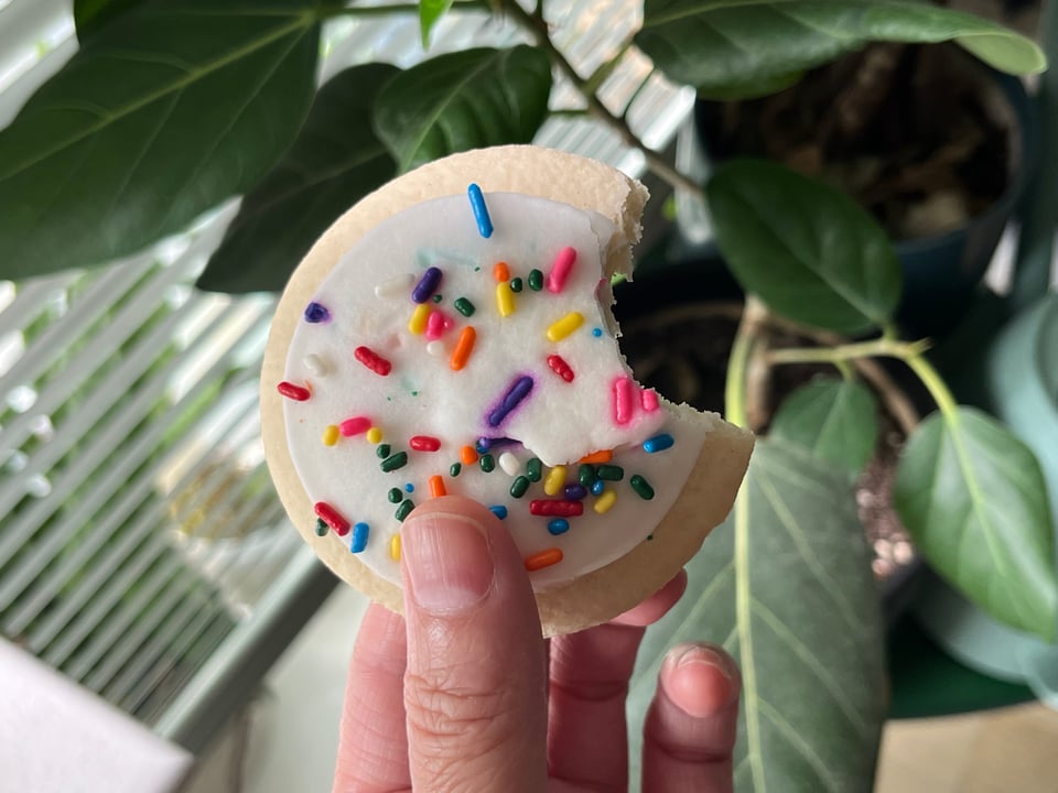 A soft cookie with white frosting and rainbow sprinkles
