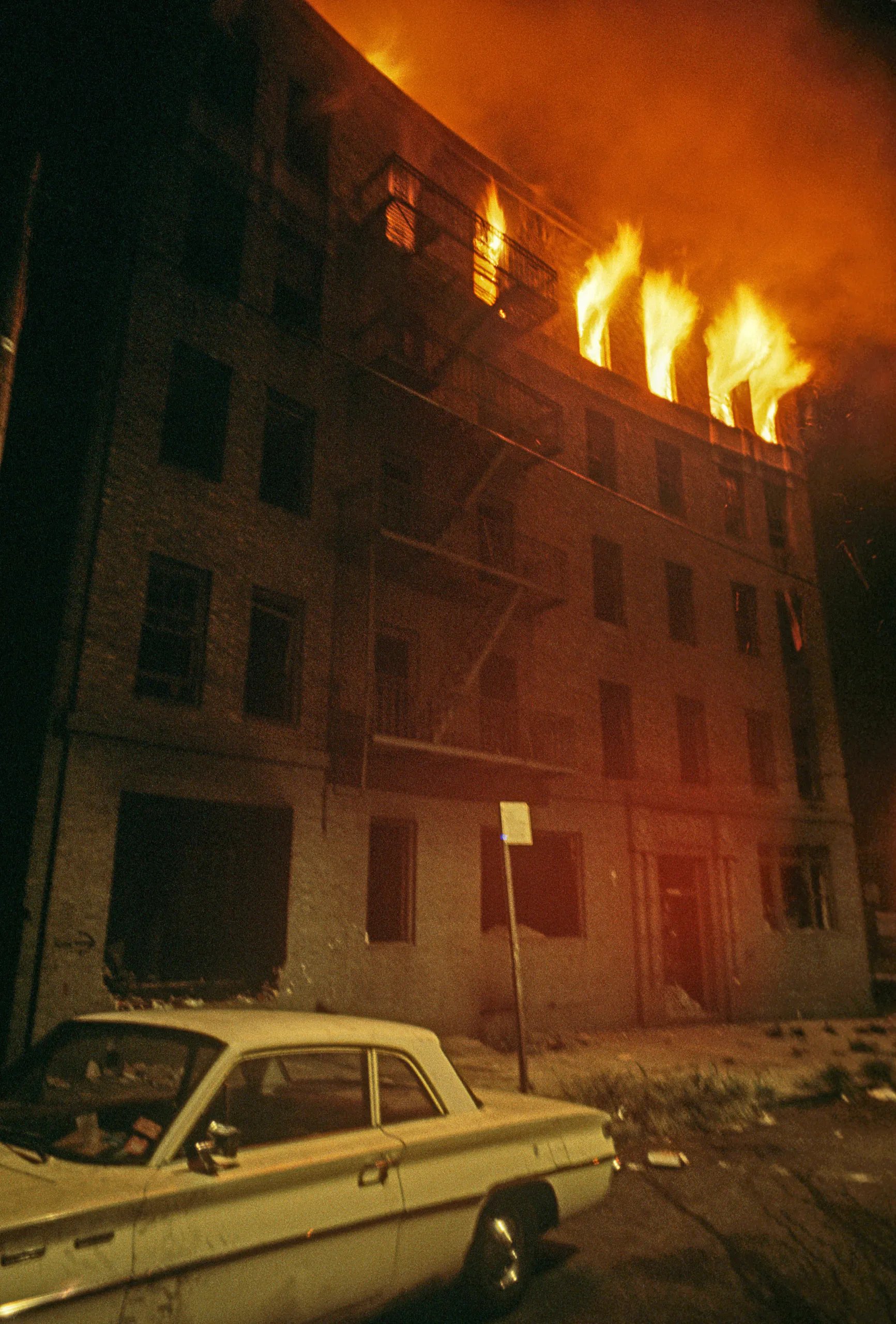 Last Week's New Yorker Review: August 25