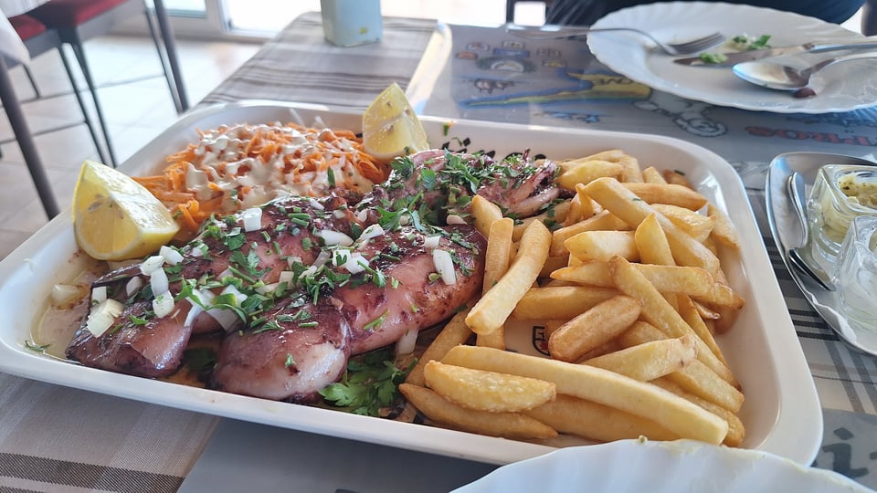 Plate of Calamari, fries, and a carrot salad