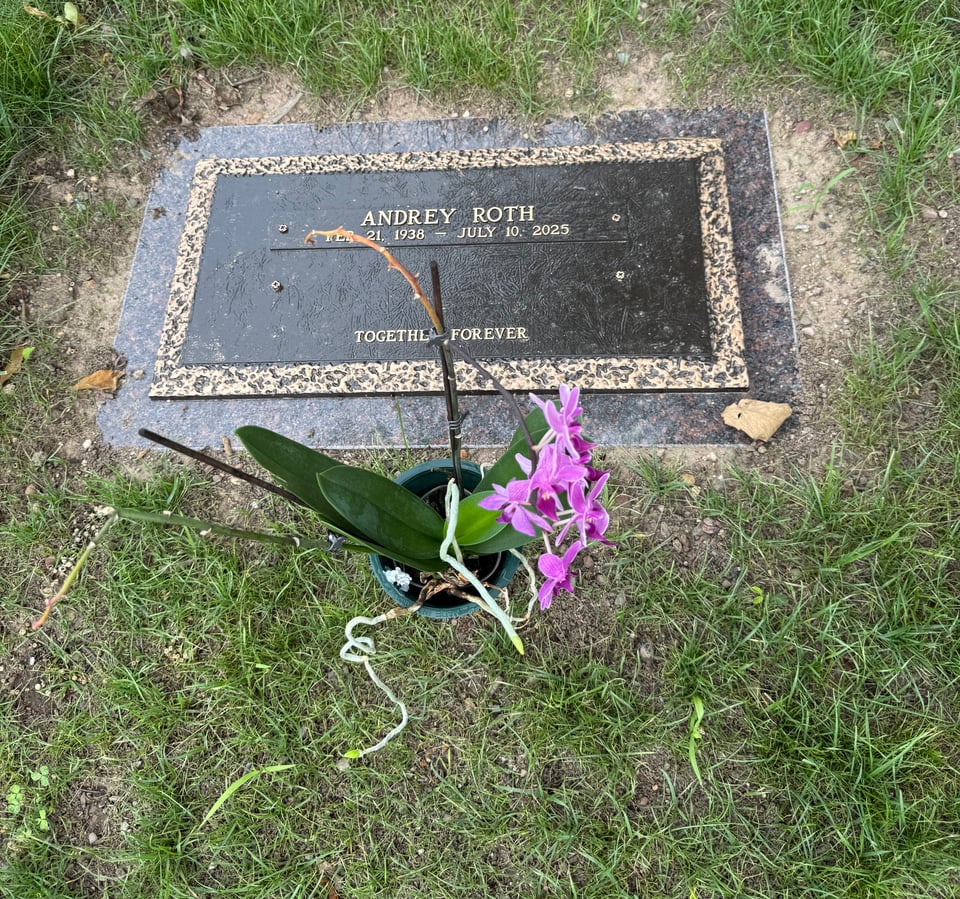 Photo of grave marker in grass with a flower-holder in front of it containing a purple orchid; the marker reads, “ANDREY ROTH, Feb. 21, 1938 - July 10, 2025,” with an empty slot beneath that and then the inscription “TOGETHER FOREVER,” because I thought it would be funny to Rickroll my dad