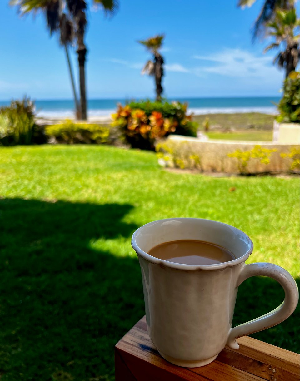 A coffee mug sits on a chair arm while the ocean and palm trees is in the background.
