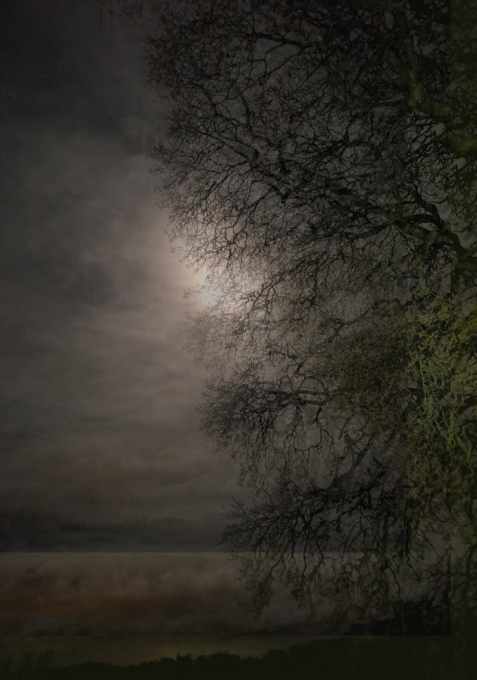 The cover photo for Haunted by Silence, an album by Danny McCarthy. It is an edited photograph of a tree in winter, taken at night. The moon's light is visible through clouds behind the tree.